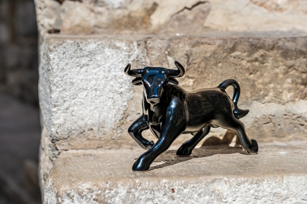 _DSC0231 DSC0231 1